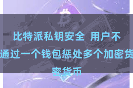 比特派私钥安全 用户不错通过一个钱包惩处多个加密货币