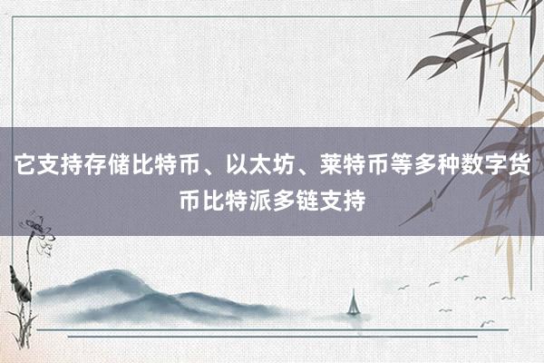 它支持存储比特币、以太坊、莱特币等多种数字货币比特派多链支持