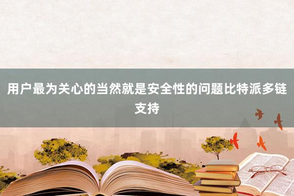 用户最为关心的当然就是安全性的问题比特派多链支持