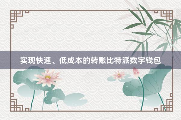 实现快速、低成本的转账比特派数字钱包