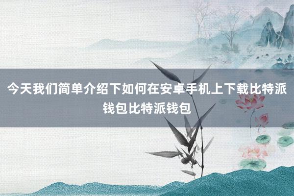 今天我们简单介绍下如何在安卓手机上下载比特派钱包比特派钱包