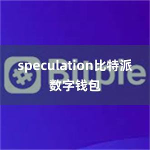 speculation比特派数字钱包