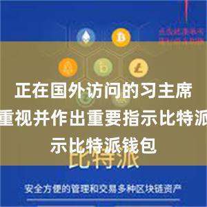 正在国外访问的习主席高度重视并作出重要指示比特派钱包