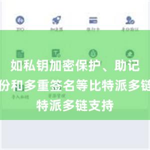 如私钥加密保护、助记词备份和多重签名等比特派多链支持