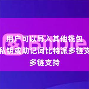 用户可以导入其他钱包的私钥或助记词比特派多链支持